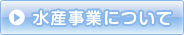 水産事業について